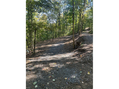 Lake Lot For Sale in Nancy, Kentucky