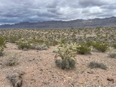 Lake Mead Acreage For Sale in Meadview Arizona