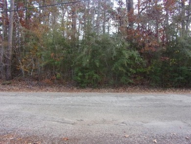 Lake Lot For Sale in Hemphill, Texas