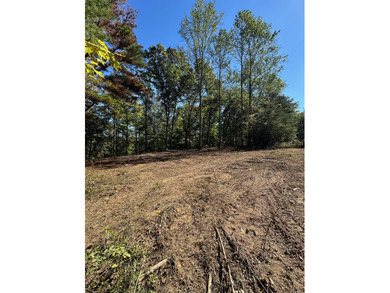 Lake Lot For Sale in Nancy, Kentucky