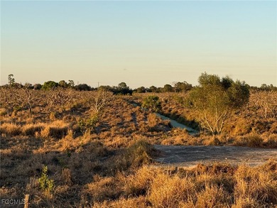 (private lake, pond, coastal) Acreage For Sale in Labelle Florida