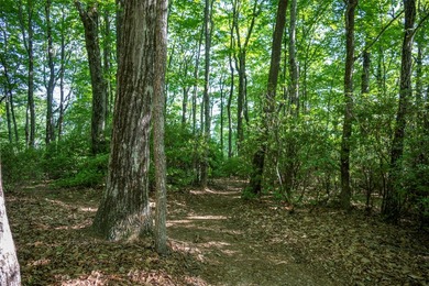 Lake Toxaway Lot For Sale in Lake Toxaway North Carolina