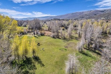 A once-in-a-generation opportunity to own 13 pristine acres - photo 3
