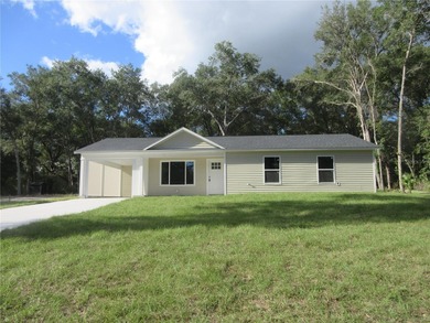 Halford Lake Home For Sale in Ocklawaha Florida