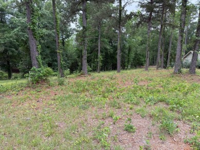 Lake Lot For Sale in Abbeville, Alabama