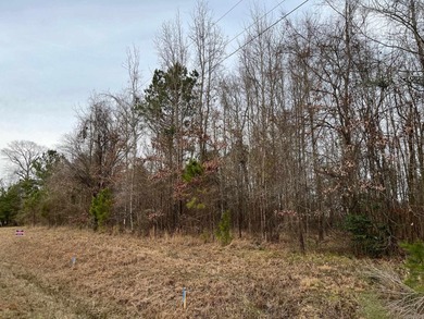 (private lake, pond, creek) Acreage For Sale in Delight Arkansas