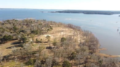 Lake Lot For Sale in Milam, Texas
