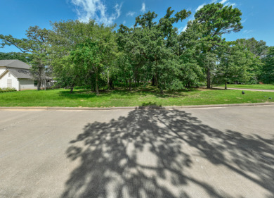 Perfect Lot in Premier Golf Community at Lake Palestine - photo 10