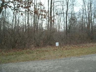 St. Joseph River Lot For Sale in Niles Michigan