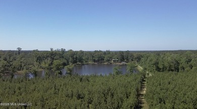 Tucked away among the rolling hills of South Mississippi, this - photo 11
