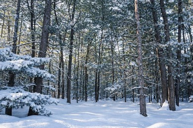 (private lake, pond, creek) Lot Sale Pending in Interlochen Michigan