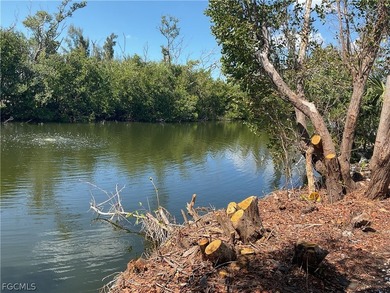 GULF ACCESS LOT ---Located in beautiful Pine Island Cove 55+ - photo 2