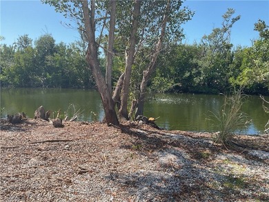 GULF ACCESS LOT ---Located in beautiful Pine Island Cove 55+ - photo 3