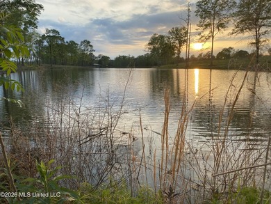 Tucked away among the rolling hills of South Mississippi, this - photo 35