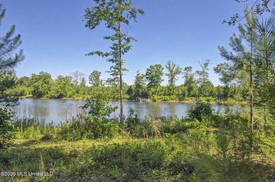 Tucked away among the rolling hills of South Mississippi, this - photo 36