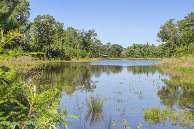 Tucked away among the rolling hills of South Mississippi, this - photo 37