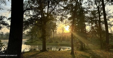 Tucked away among the rolling hills of South Mississippi, this - photo 39