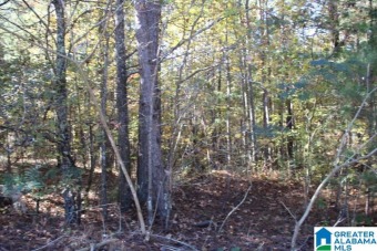Lay Lake Acreage For Sale in Shelby Alabama
