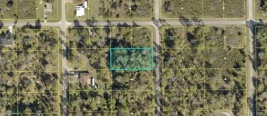 Lehigh Acres Area Lot For Sale in Lehigh Acres Florida