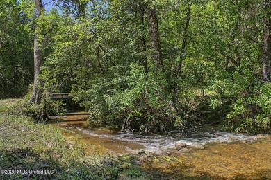 Tucked away among the rolling hills of South Mississippi, this - photo 41