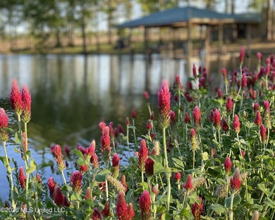 Tucked away among the rolling hills of South Mississippi, this - photo 43