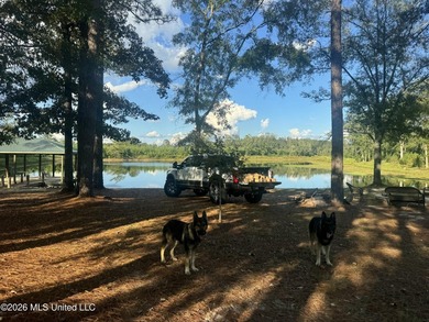 Tucked away among the rolling hills of South Mississippi, this - photo 44