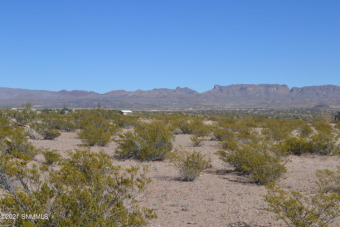Lake Acreage Off Market in Elephant Butte, New Mexico