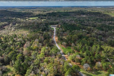 (private lake, pond, creek) Home For Sale in Mccalla Alabama