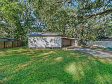 Lake Panasoffkee Home Sale Pending in Lake Panasoffkee Florida