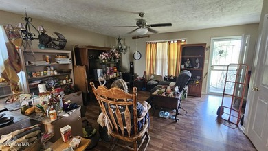 Welcome to 915 Wray Loop in Tiptonville, TN! Nestled on - photo 3