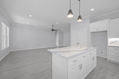Beautiful new 3/2/2 home in secluded St. Andrews Place, nestled - photo 17