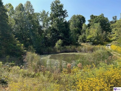 Lake Acreage For Sale in Battletown, Kentucky