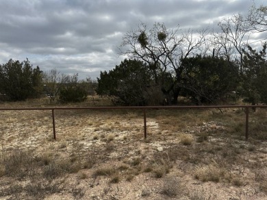 Lake Lot For Sale in Paint Rock, Texas