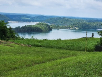 0.66 AC W/ A YEAR AROUND DALE HOLLOW LAKE - photo 9