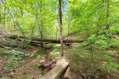 Rare opportunity in Chattahoochee River Club with direct access - photo 35