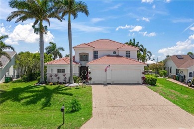 Gulf-access canal frontage - Brand-new pool & spa - Dual-zone - photo 38
