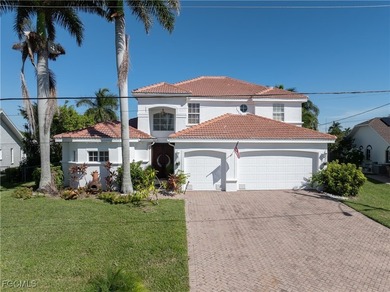 Gulf-access canal frontage - Brand-new pool & spa - Dual-zone - photo 45