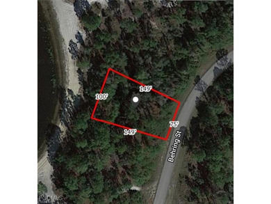 Lehigh Acres Area Lot For Sale in Lehigh Acres Florida