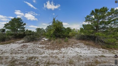 Lake Placid - Highland County Lot For Sale in Lake Placid Florida