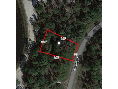Lehigh Acres Area Lot For Sale in Lehigh Acres Florida
