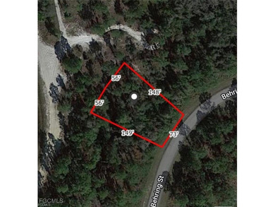 Lehigh Acres Area Lot For Sale in Lehigh Acres Florida