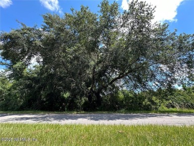 Lake Lot For Sale in Georgetown, Florida