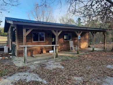 (private lake, pond, creek) Home For Sale in Mountain View Arkansas