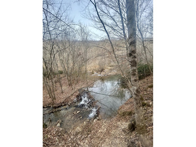 296.42+/- Acres | Grainger County, & Hawkins County Tennessee - photo 11