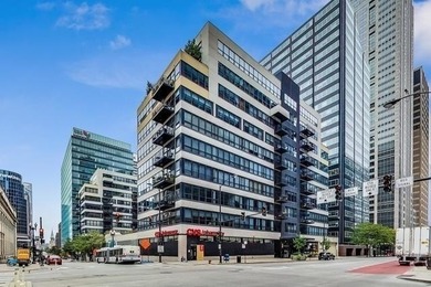 Lake Michigan - Cook County Condo Active Under Contract in Chicago Illinois