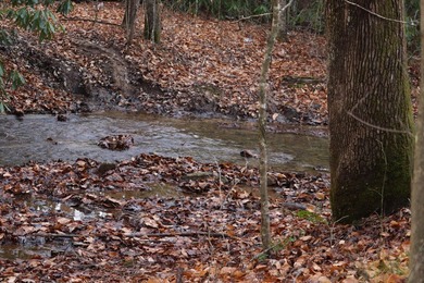 296.42+/- Acres | Grainger County, & Hawkins County Tennessee - photo 13