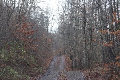 296.42+/- Acres | Grainger County, & Hawkins County Tennessee - photo 15