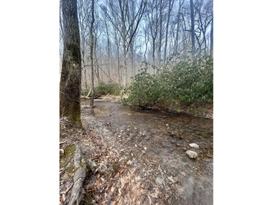 296.42+/- Acres | Grainger County, & Hawkins County Tennessee - photo 16