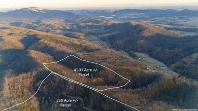 296.42+/- Acres | Grainger County, & Hawkins County Tennessee - photo 18