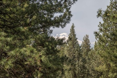Located on the golf course, with mountain views, this NW lodge - photo 30